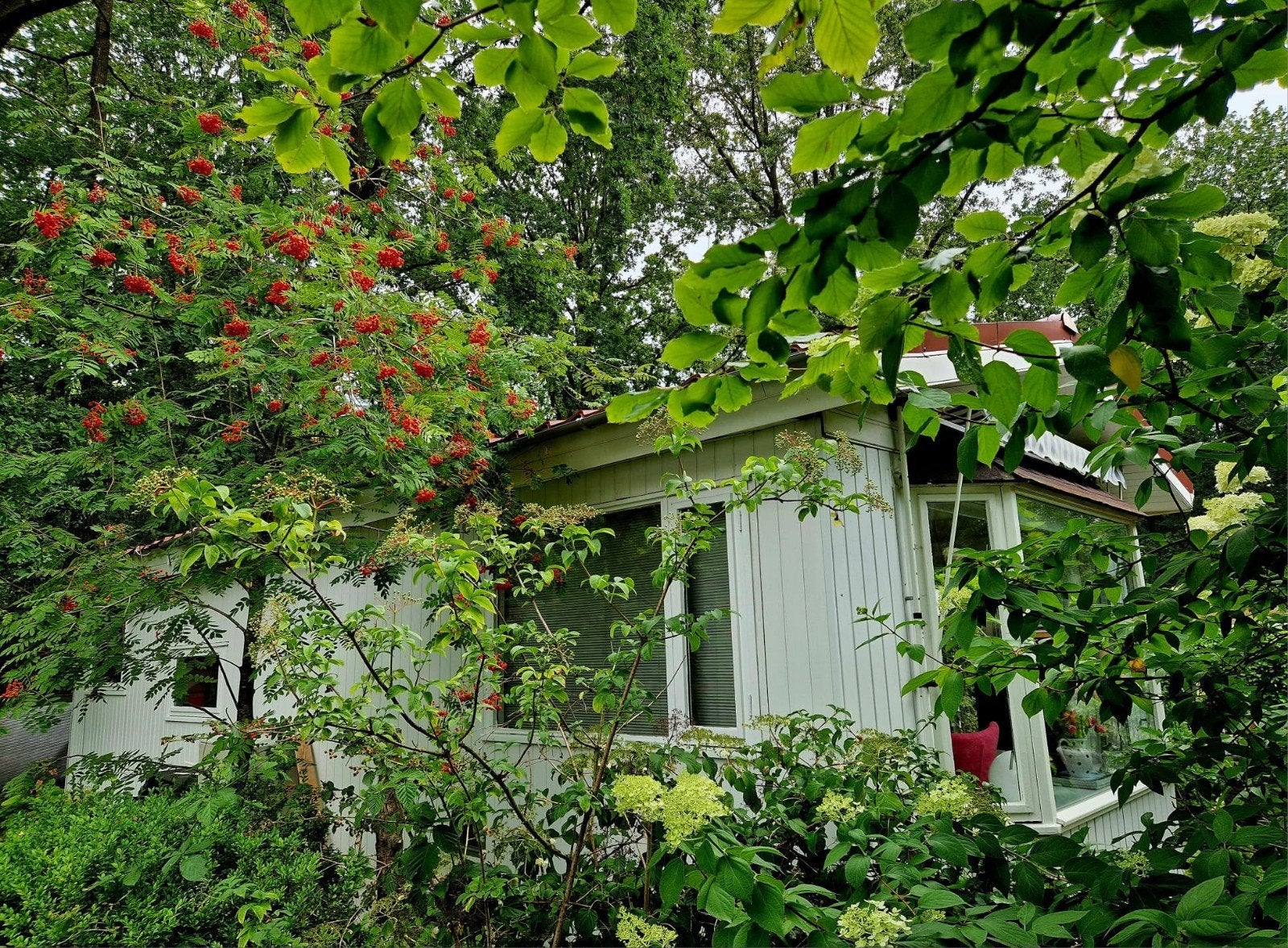 Chalet te koop