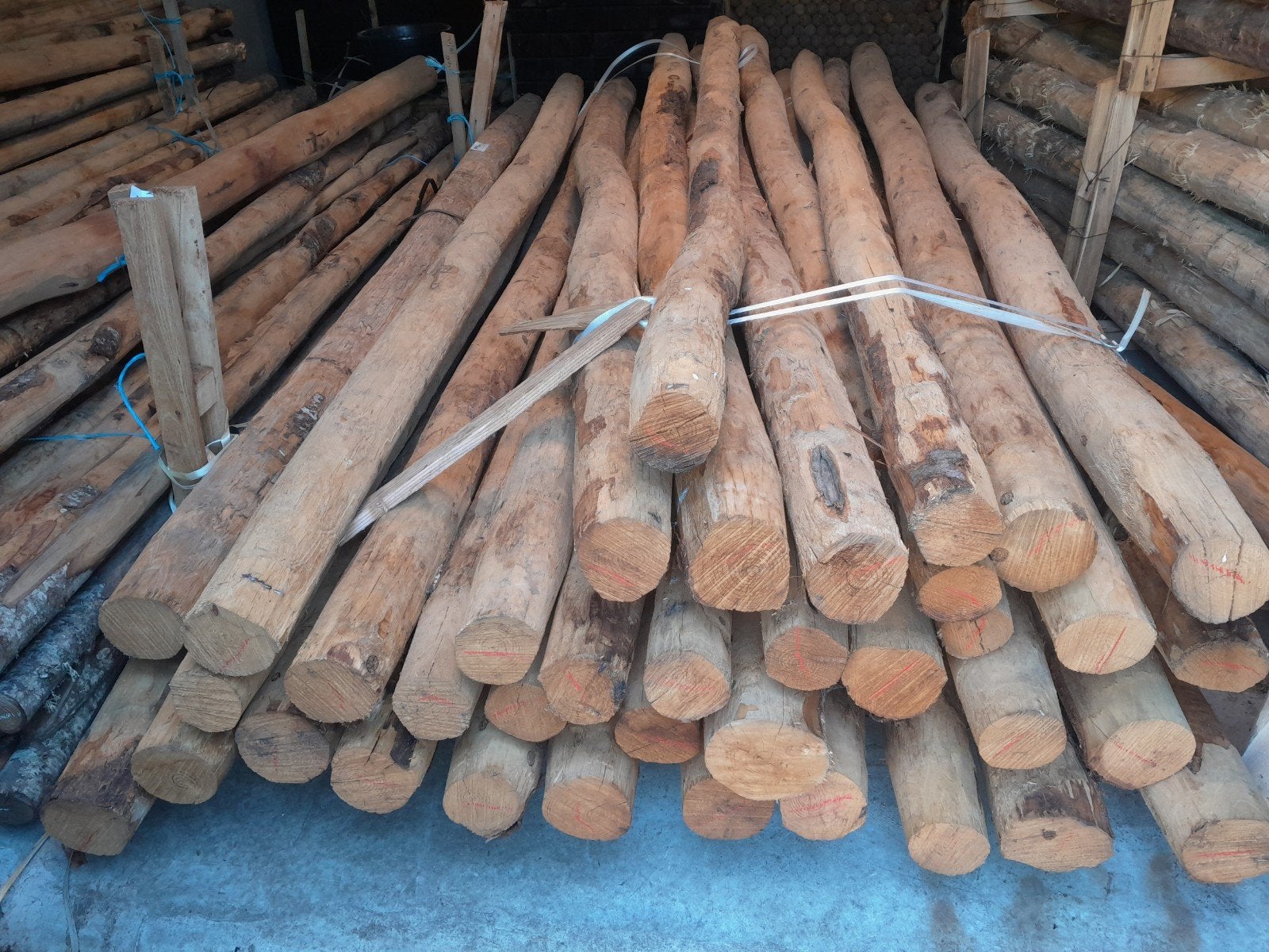 Kastanjehouten palen voor tuinverlichting 400cm lang 14/16cm, Ophalen, Nieuw, 250 cm of meer, Palen