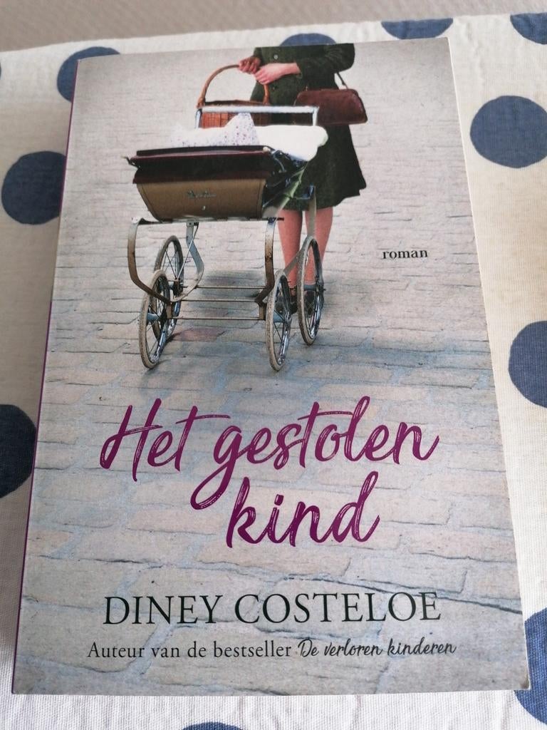 Diney Costeloe - Het gestolen kind, Ophalen of Verzenden, Gelezen, Diney Costeloe