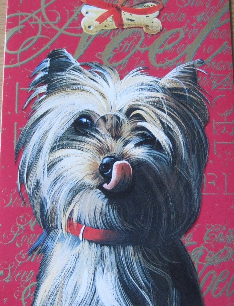dubbele nieuwe kerstkaart met terrier - Otterhouse cards, Ophalen of Verzenden, Nieuw