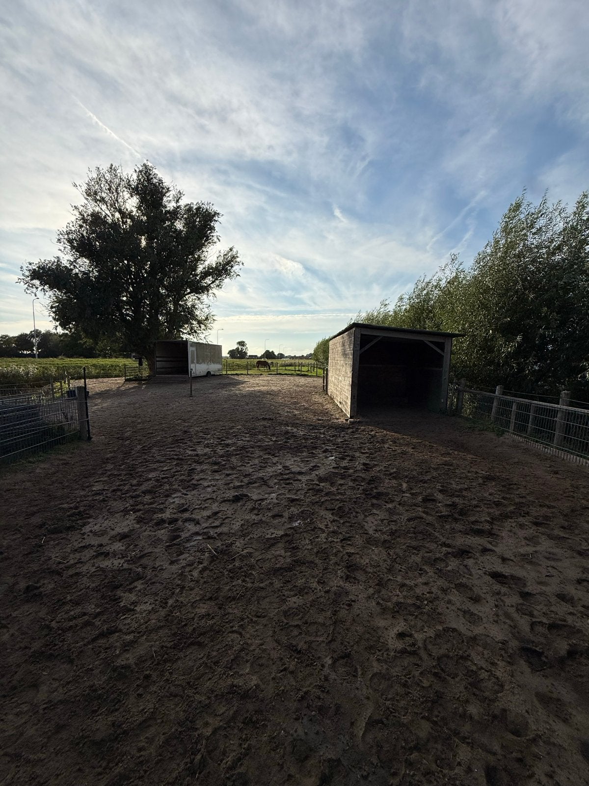 24/7 buiten paddock met schuilstal, Weidegang, 1 paard of pony