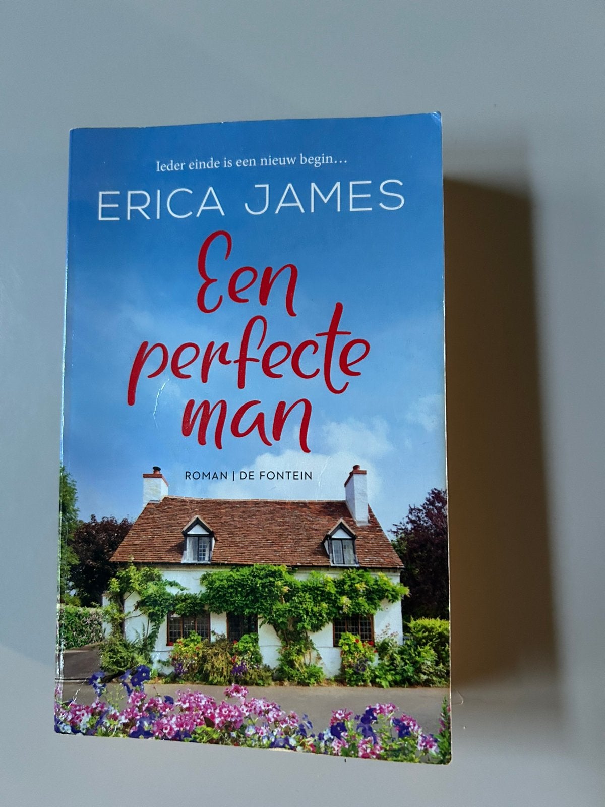 Een perfecte man, Boeken, Ophalen of Verzenden, Gelezen