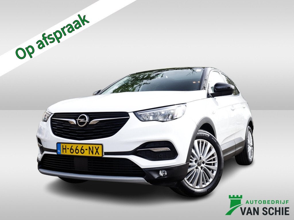 Opel Grandland X 1.2 Turbo Innovation 1e-Eig. & Dealer-Onder, Auto's, Opel, 12 maanden, Gebruikt, 1199 cc, Leder en Stof