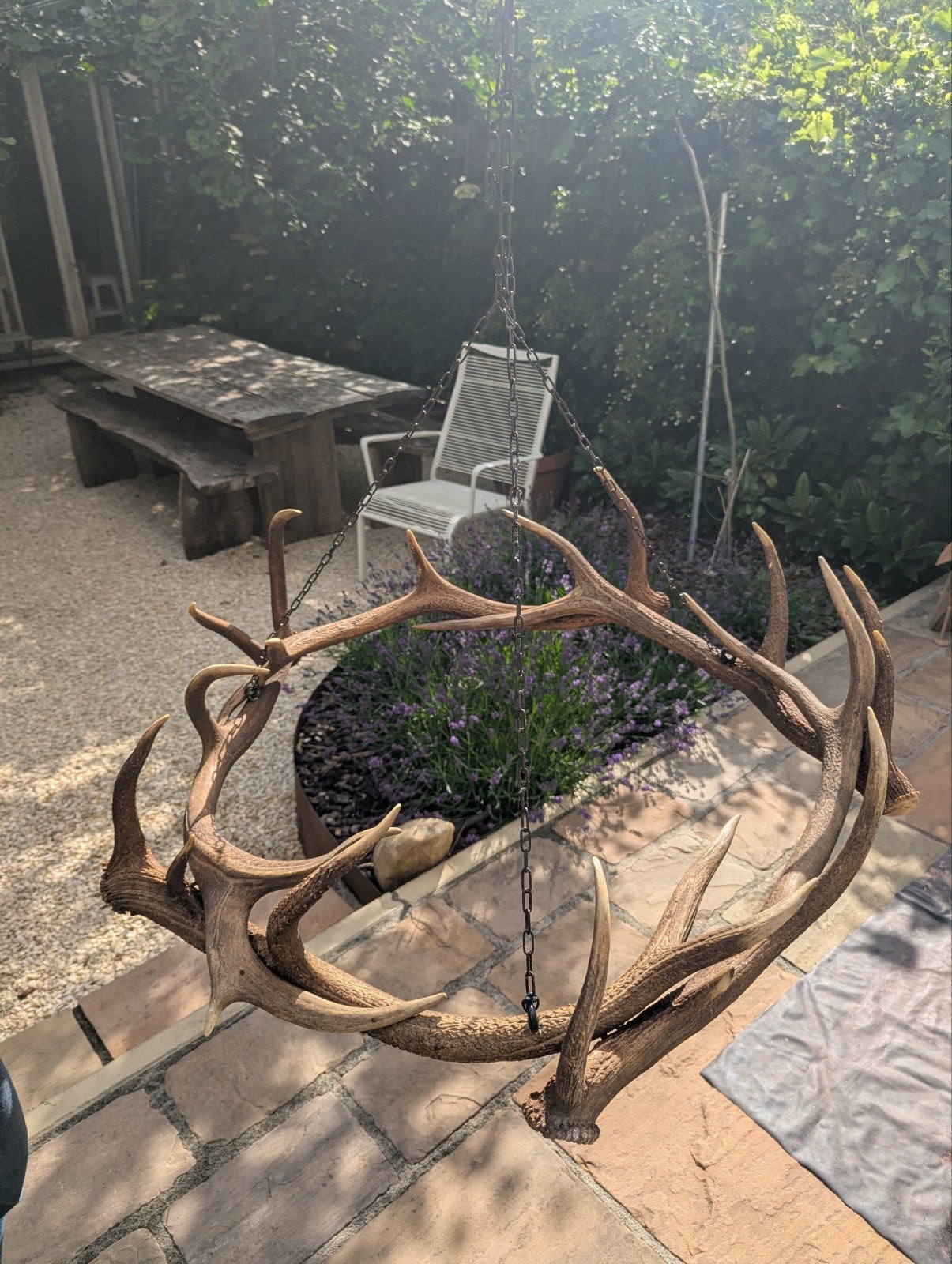 Unieke Gewei Kroonluchter - Rustieke Decoratie, Ophalen