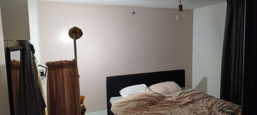Foto 7 van Professioneel SCHILDER Latex spuiten vanaf 3€ per m2