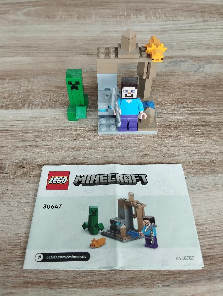 Lego Minecraft 30647 Druipsteengrot, Kinderen en Baby's, Speelgoed | Duplo en Lego, Zo goed als nieuw, Lego, Ophalen of Verzenden