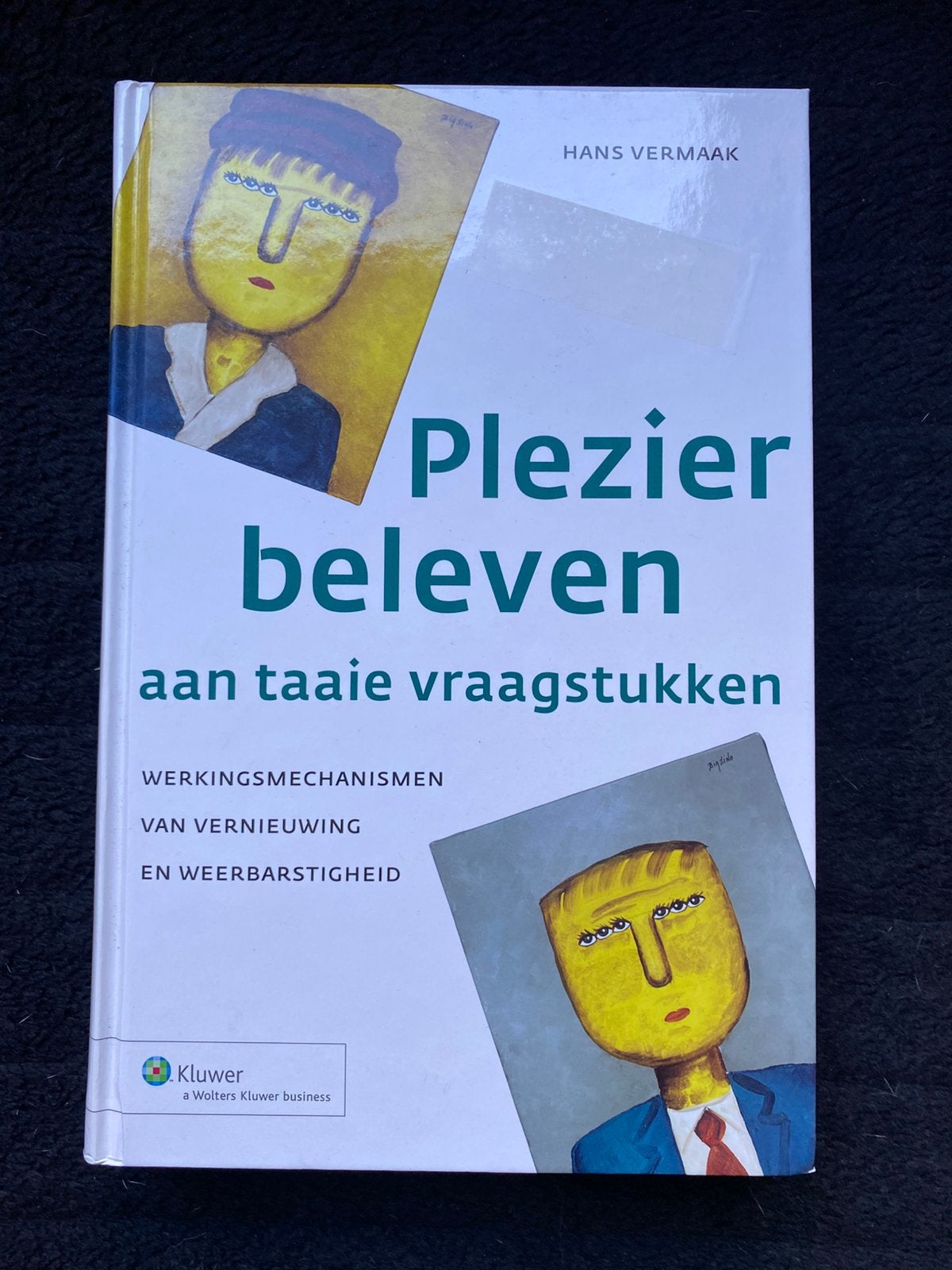 Plezier beleven aan taaie vraagstukken - Hans Vermaak, Ophalen of Verzenden, Nieuw