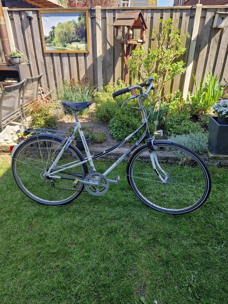 Nette Vintage Dames Batavus Champion, 56 cm of meer, Ophalen, Gebruikt, Batavus