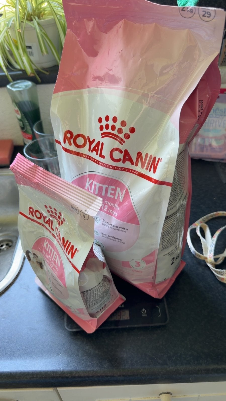 Royal canin kitten voer 2kg totaal, Dieren en Toebehoren, Ophalen, Kat