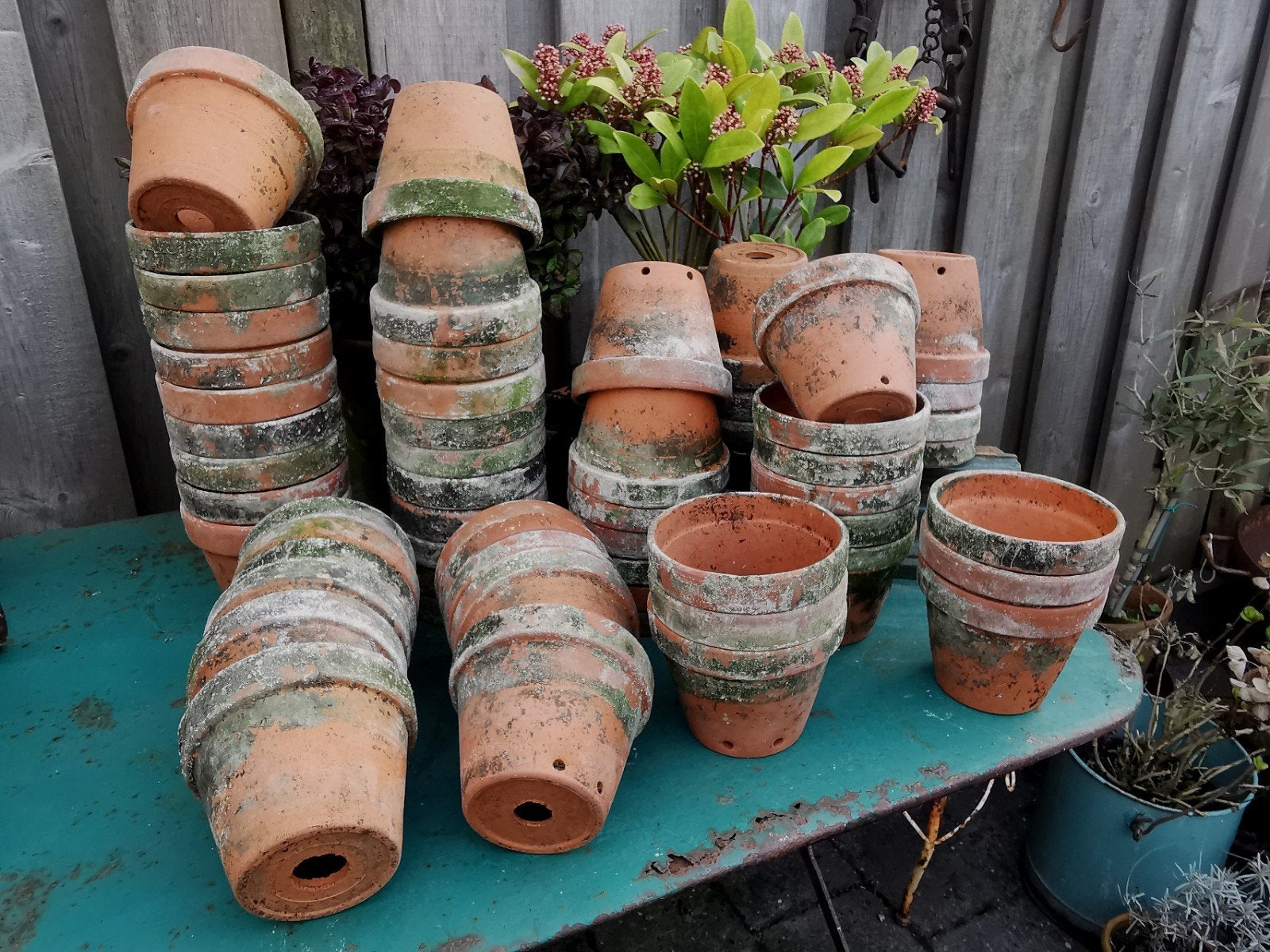 vintage terracotta potjes bloempotjes 10-12wijd Miekje, ., Rond, Ophalen of Verzenden, .