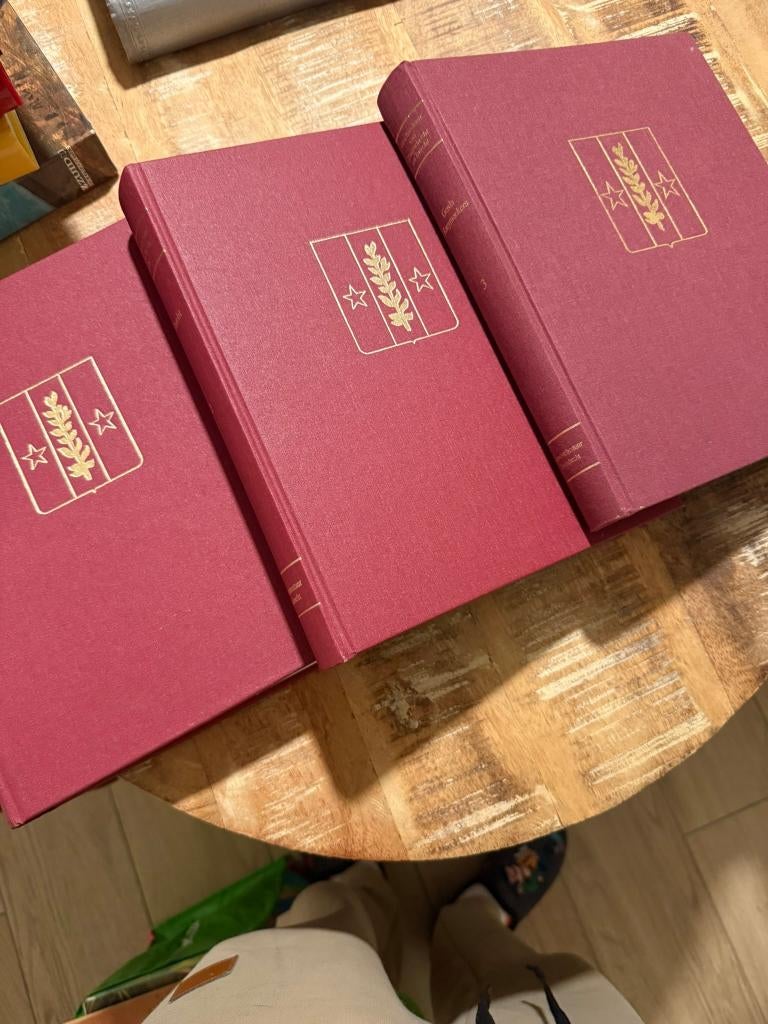 Geschiedenis van Zwijndrecht en Burcht. SET 3 delen compleet, Boeken, Geschiedenis | Stad en Regio, Zo goed als nieuw, 17e en 18e eeuw