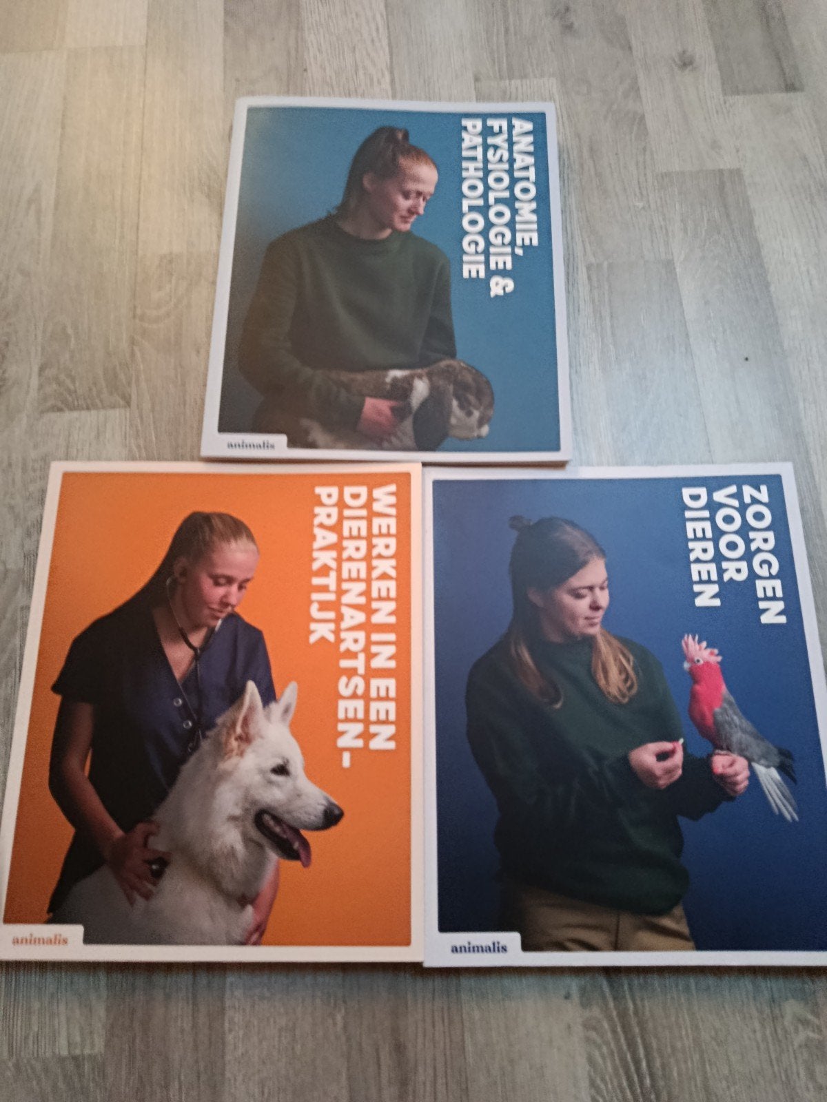Boeken paraveterinair, Boeken, Ophalen of Verzenden, Beta, Zo goed als nieuw, MBO