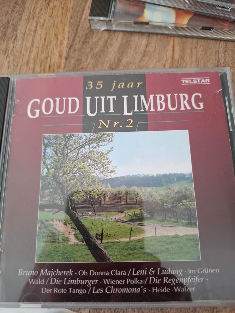 Goud uit Limburg nr2., Ophalen of Verzenden, Zo goed als nieuw, Streekmuziek