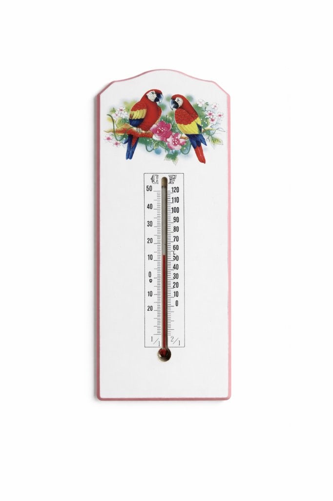 Thermo meters | Thermo meter voor uw vogelhok, Ophalen of Verzenden, Nieuw, Hout, Volière