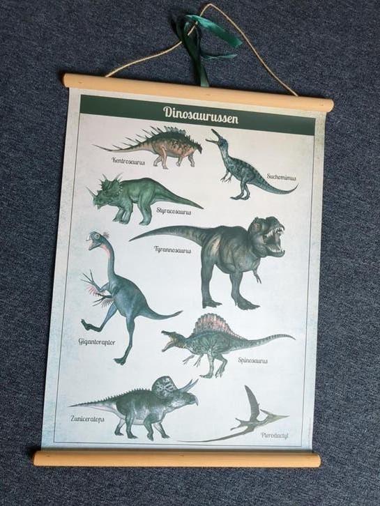 Schoolplaat verschillende dino's skelet en namen, Ophalen of Verzenden, Zo goed als nieuw