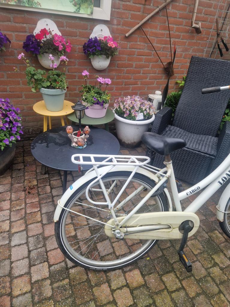 Meisjesfiets, Terugtraprem, Gebruikt, Overige merken, Ophalen