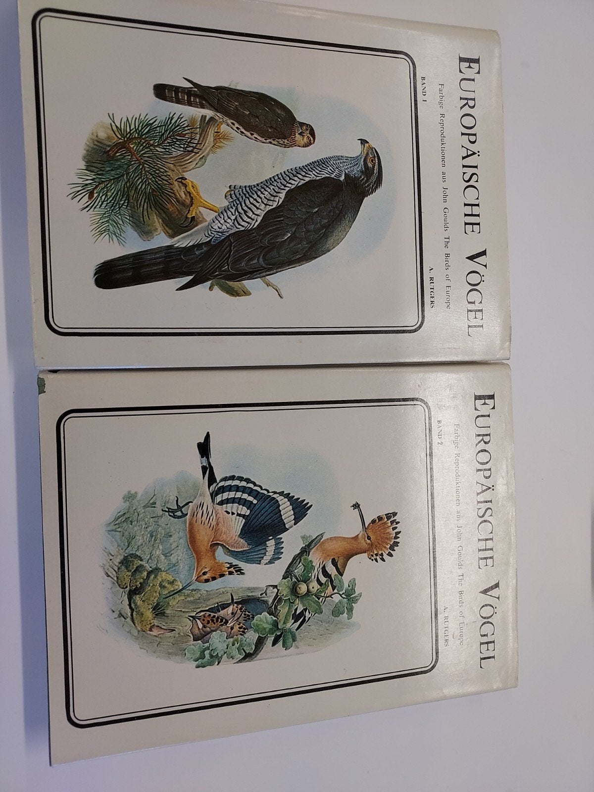 Europäische Vögel - Encyclopedie voor de Vogelliefhebber, Boeken, Ophalen of Verzenden, Zo goed als nieuw, Vogels, A. Rutgers