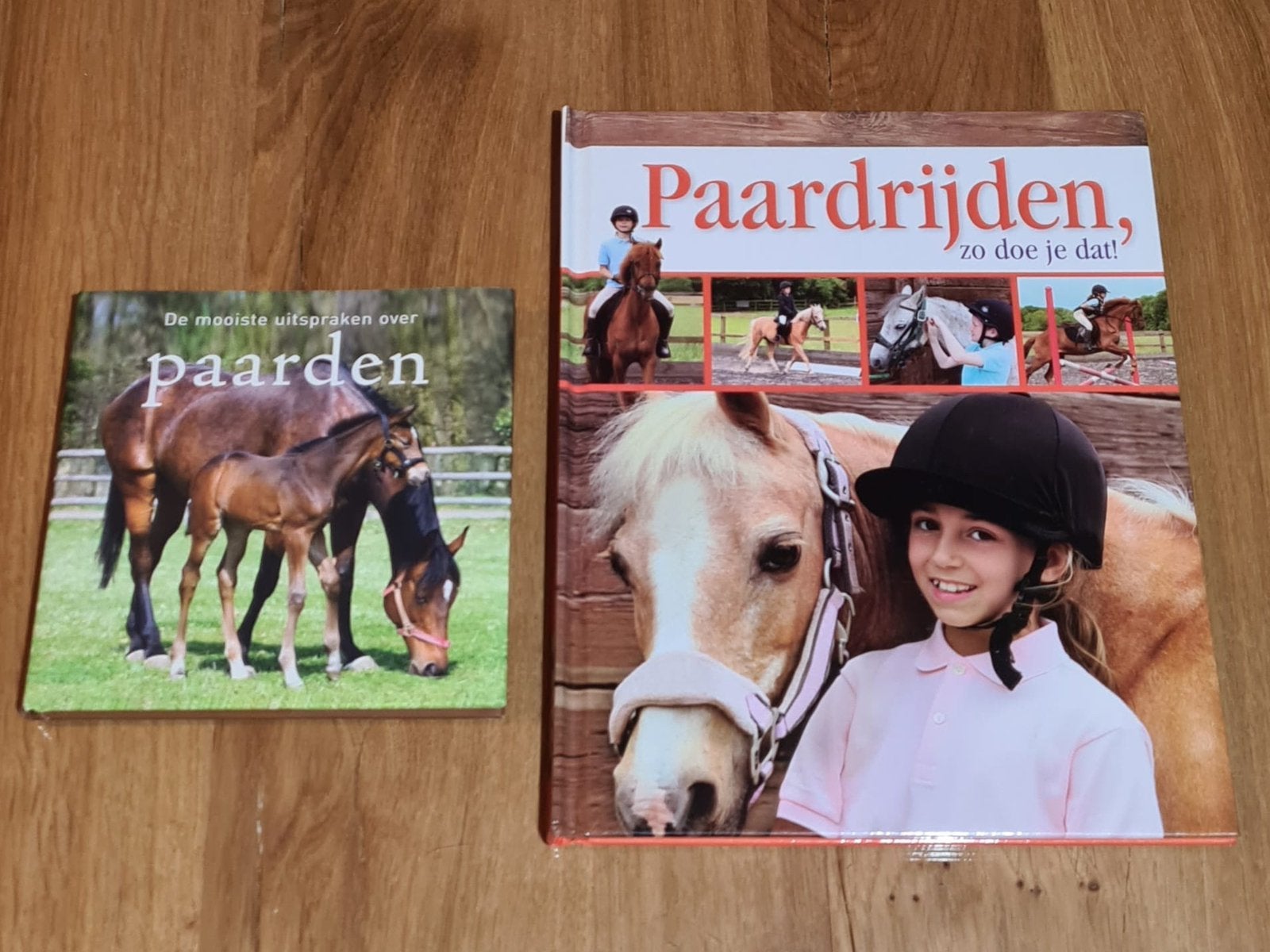 Paardenboeken 2 stuks, Boeken, Dieren en Huisdieren, Ophalen of Verzenden, Nieuw, Paarden of Pony's