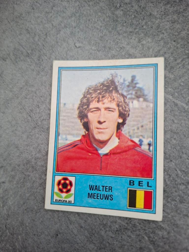 Panini sticker Euro 80 Italia. Speler Walter Meeuws België., Verzenden, Zo goed als nieuw, Sticker
