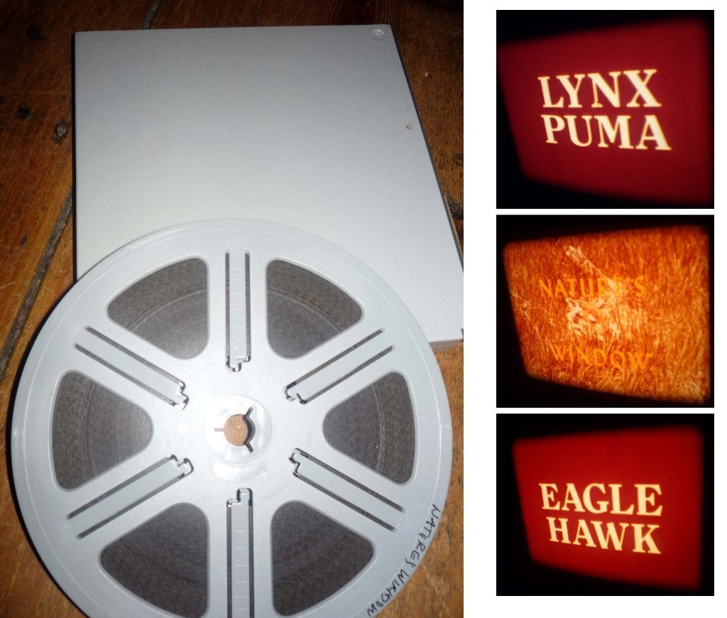 8mm film Nature's Window - lynx + eagle - kleur, Audio, Tv en Foto, Filmrollen, Ophalen of Verzenden, 8mm film