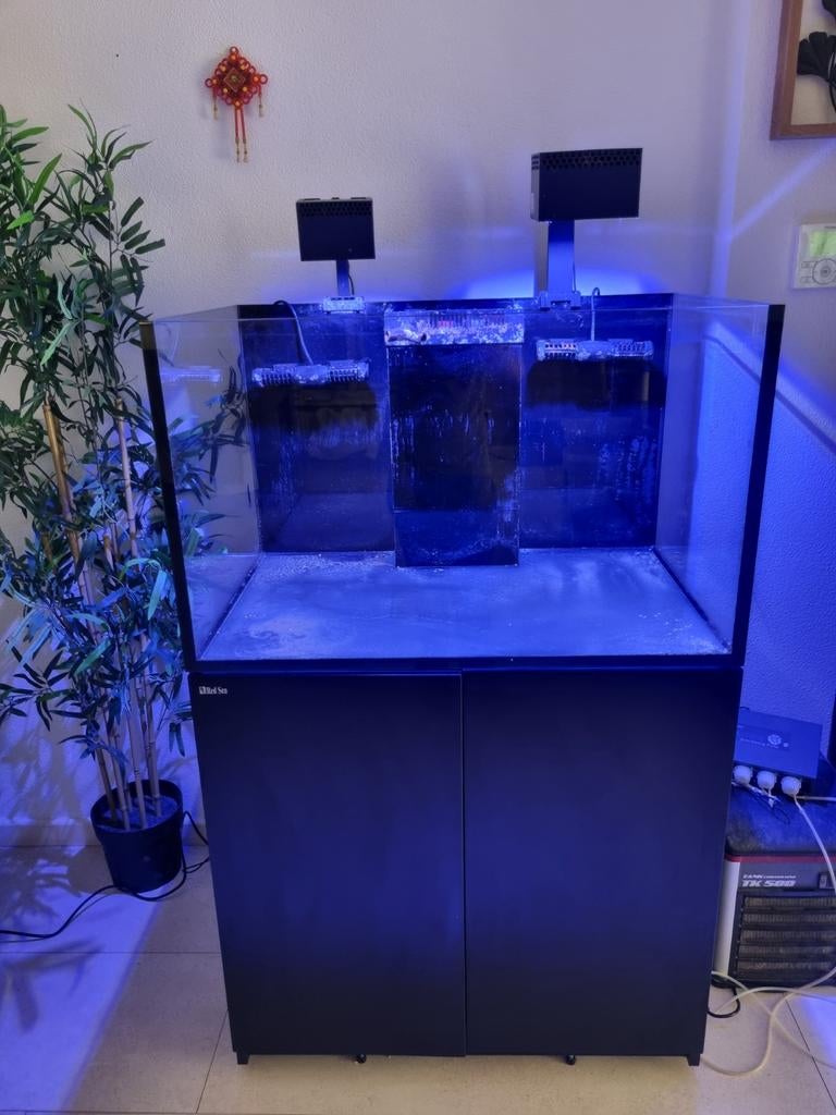Zeeaquarium Redsea reefer 300 G2+, Dieren en Toebehoren, Vissen | Aquaria en Toebehoren, Ophalen, Red Sea, Inclusief deksel, Zo goed als nieuw