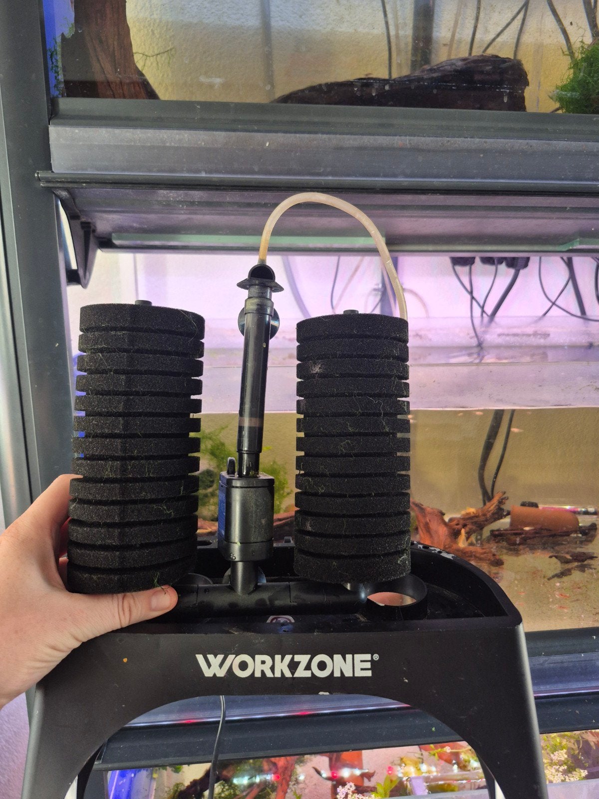 elektrische garnalen pomp dus geen lucht pomp nodig, Ophalen of Verzenden, Zo goed als nieuw, Overige typen