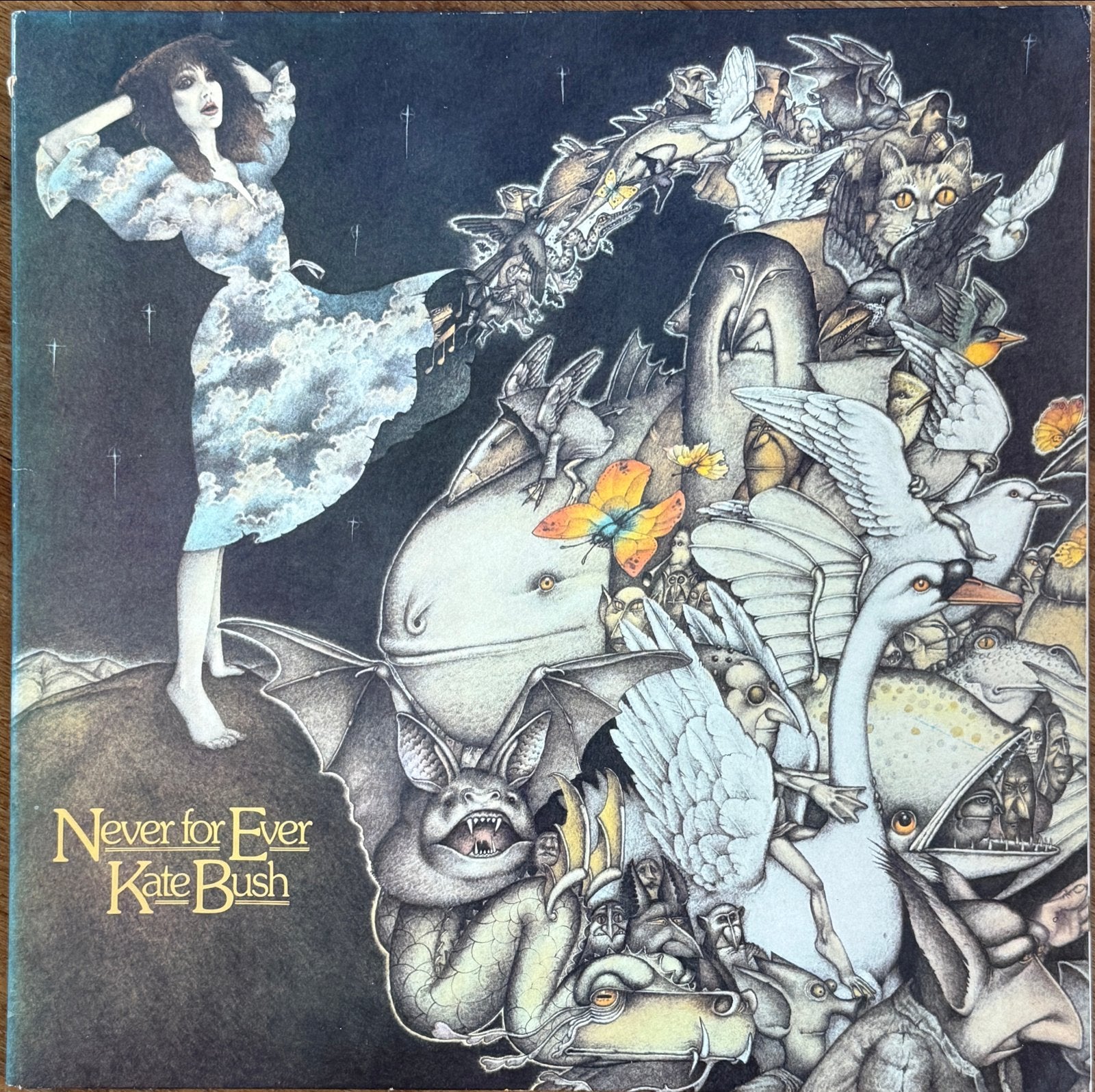 2 LP's van Kate Bush: Never for Ever & Lionheart, Cd's en Dvd's, Ophalen, LP, Gebruikt, Pop