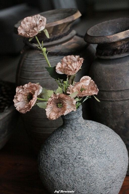 Zijdebloem anemoon cappuccino, Www.jufbrocante.nl, Www.jufbrocante.nl, Nieuw, Ophalen of Verzenden