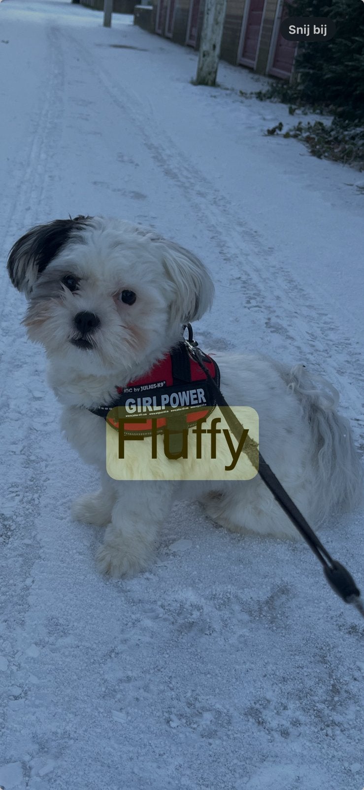 Fluffy, Ophalen of Verzenden, Gebruikt, Pluche