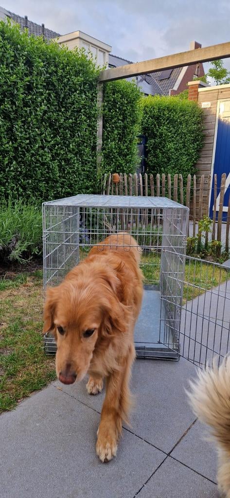Hondenbench voor grote hond, Ophalen, Gebruikt