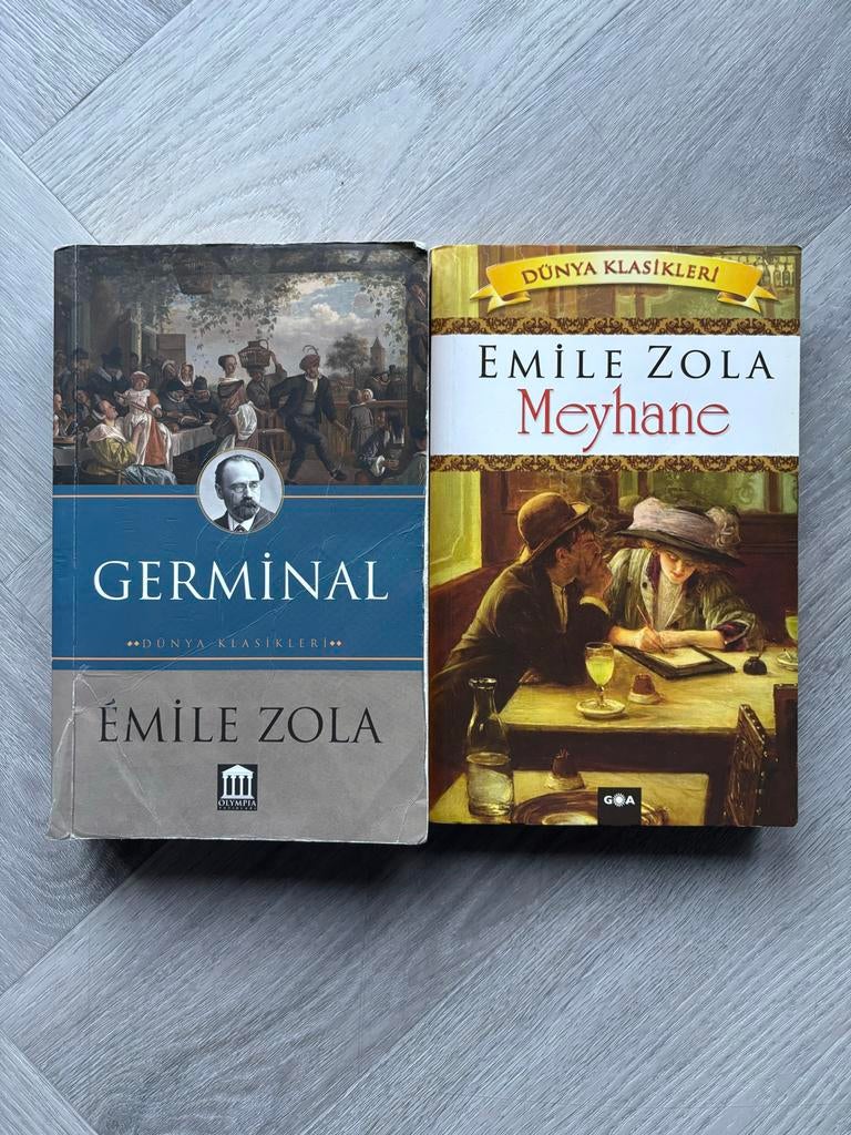 Émile Zola Boeken: Germinal & Meyhane (Turkse edities), Ophalen of Verzenden, Gelezen, Wereld overig