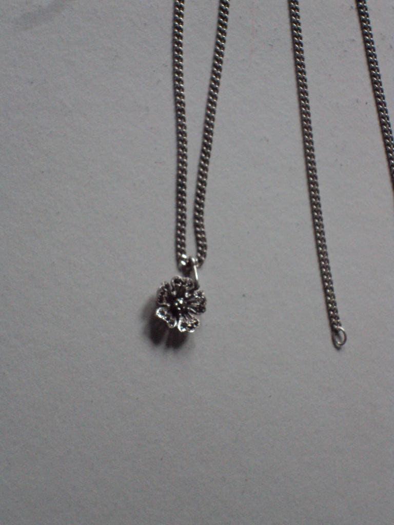 zilveren ketting met hanger, Met hanger, Verzenden, Zo goed als nieuw, Zilver