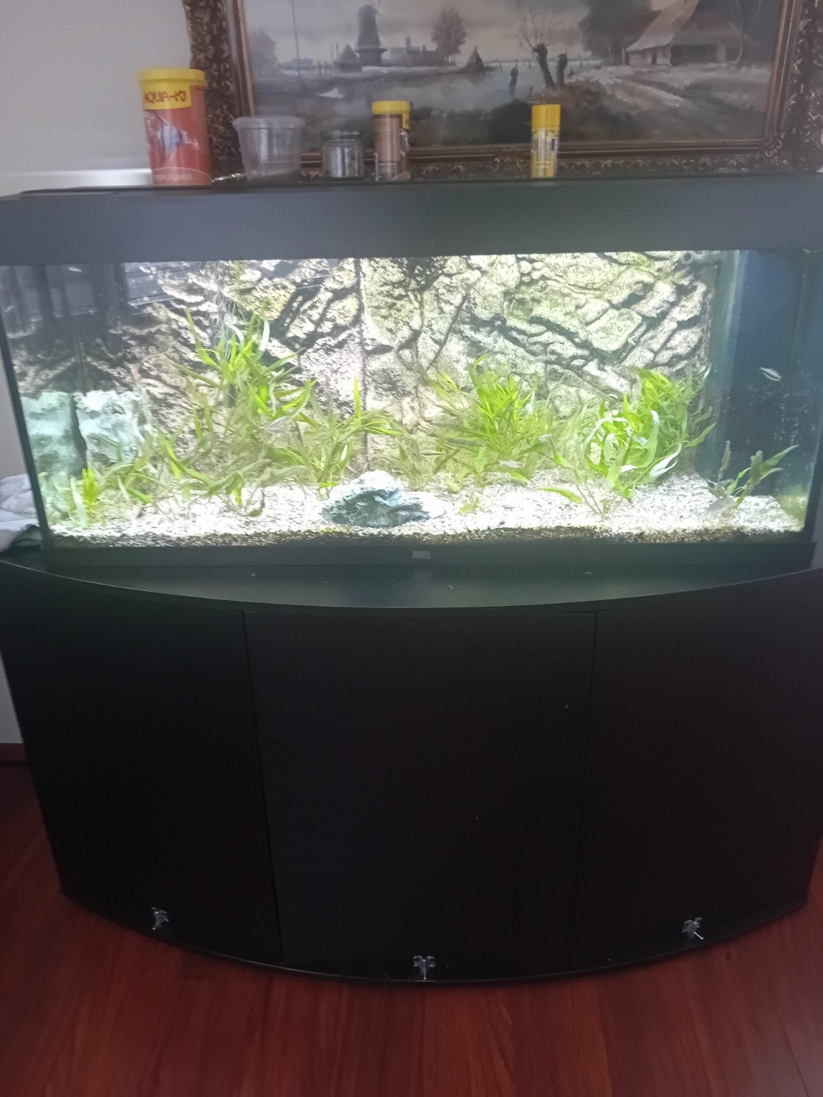 Een Juwel aquarium, Dieren en Toebehoren, Vissen | Aquaria en Toebehoren, Ophalen of Verzenden, Leeg aquarium