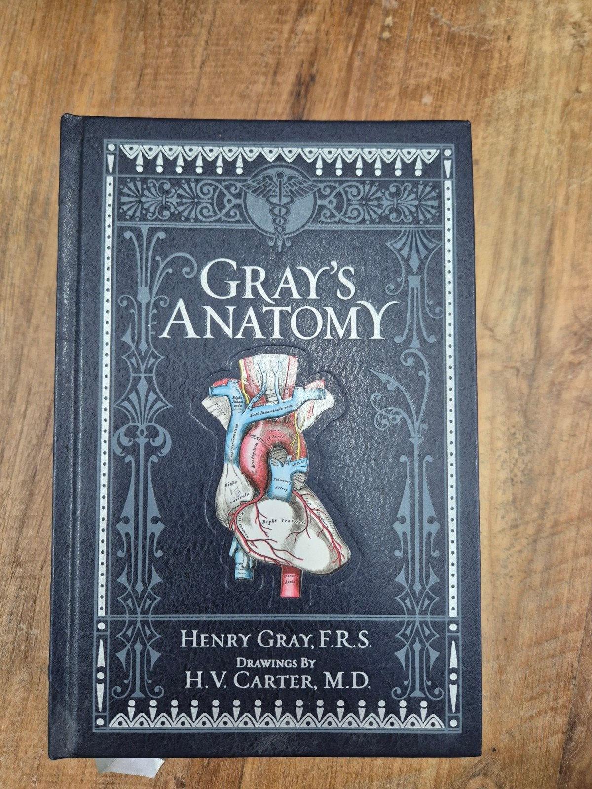 Gray's Anatomy - Klassiek Medisch Handboek, Henry Gray, F.R.S. & H.V. Carter, M.D., Ophalen of Verzenden, Beta, WO