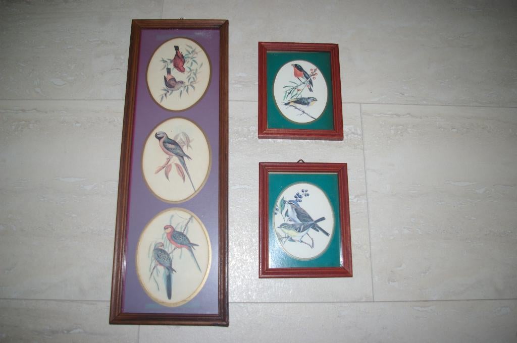 Schilderijtjes met vogel afbeeldingen 3 stuks., Ophalen of Verzenden, Zo goed als nieuw