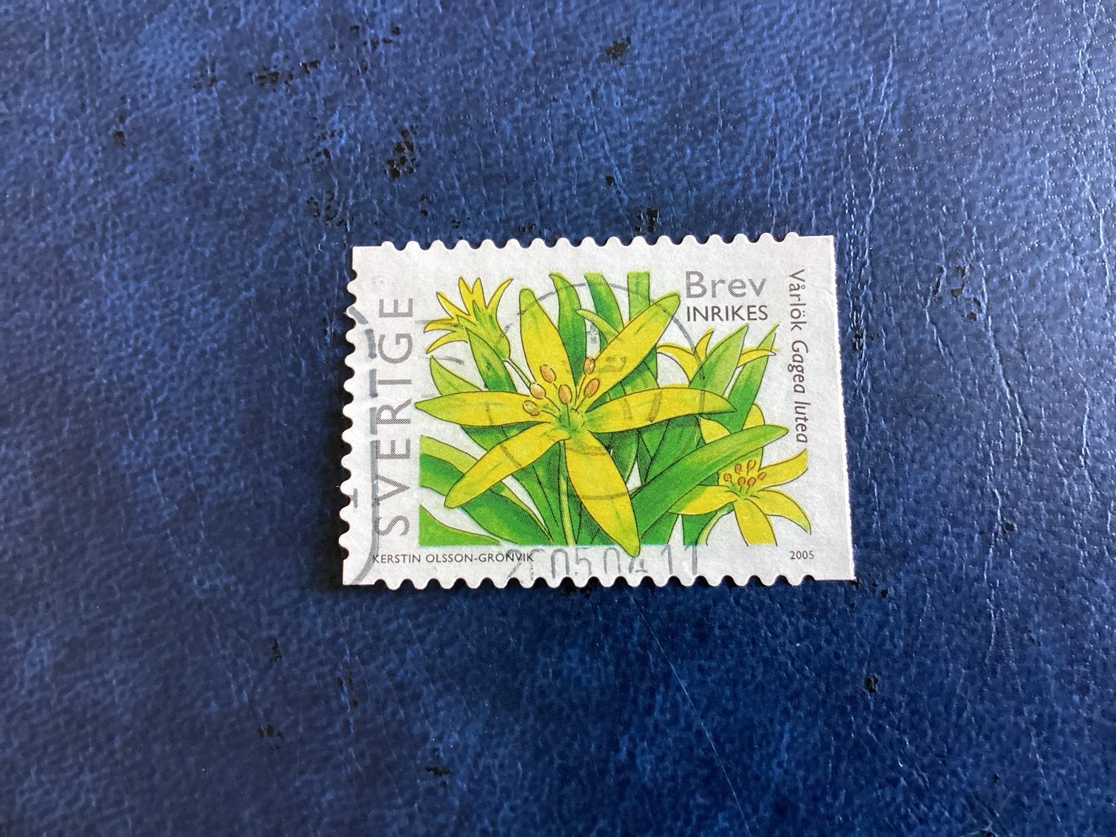 Zweden 2005 - Mi.2460-Vårlök Gagea lutea, Verzenden, Zweden, Gestempeld