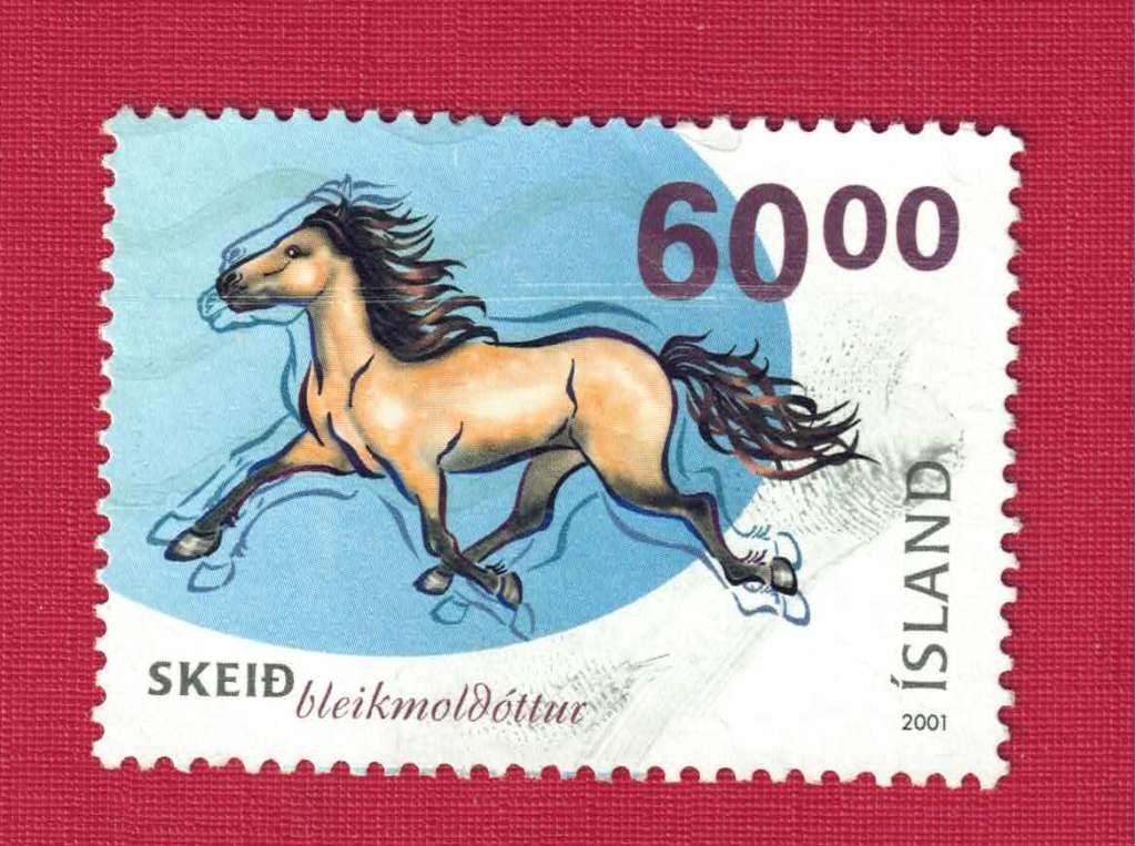 Fauna - Dieren - Paarden - IJsland - 986 - SKEID (jr.'01) -, Postzegels en Munten, Postzegels | Thematische zegels, Ophalen of Verzenden