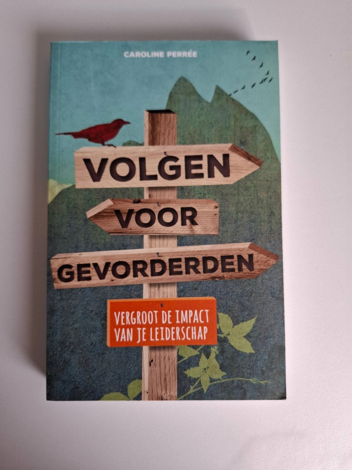 Caroline Perrée - Volgen voor gevorderden, Ophalen of Verzenden, Zo goed als nieuw, Caroline Perrée