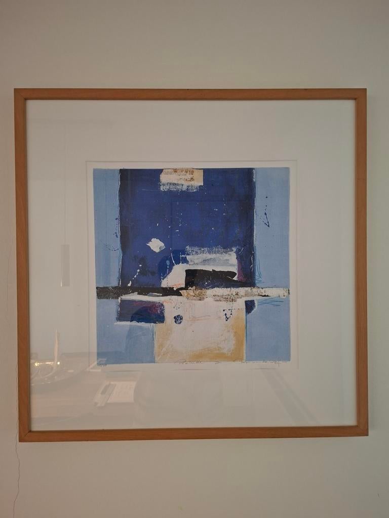 Zeefdruk Ron van de Werf D84409 - 60 x 60 cm, Antiek en Kunst, Kunst | Litho's en Zeefdrukken, Ophalen