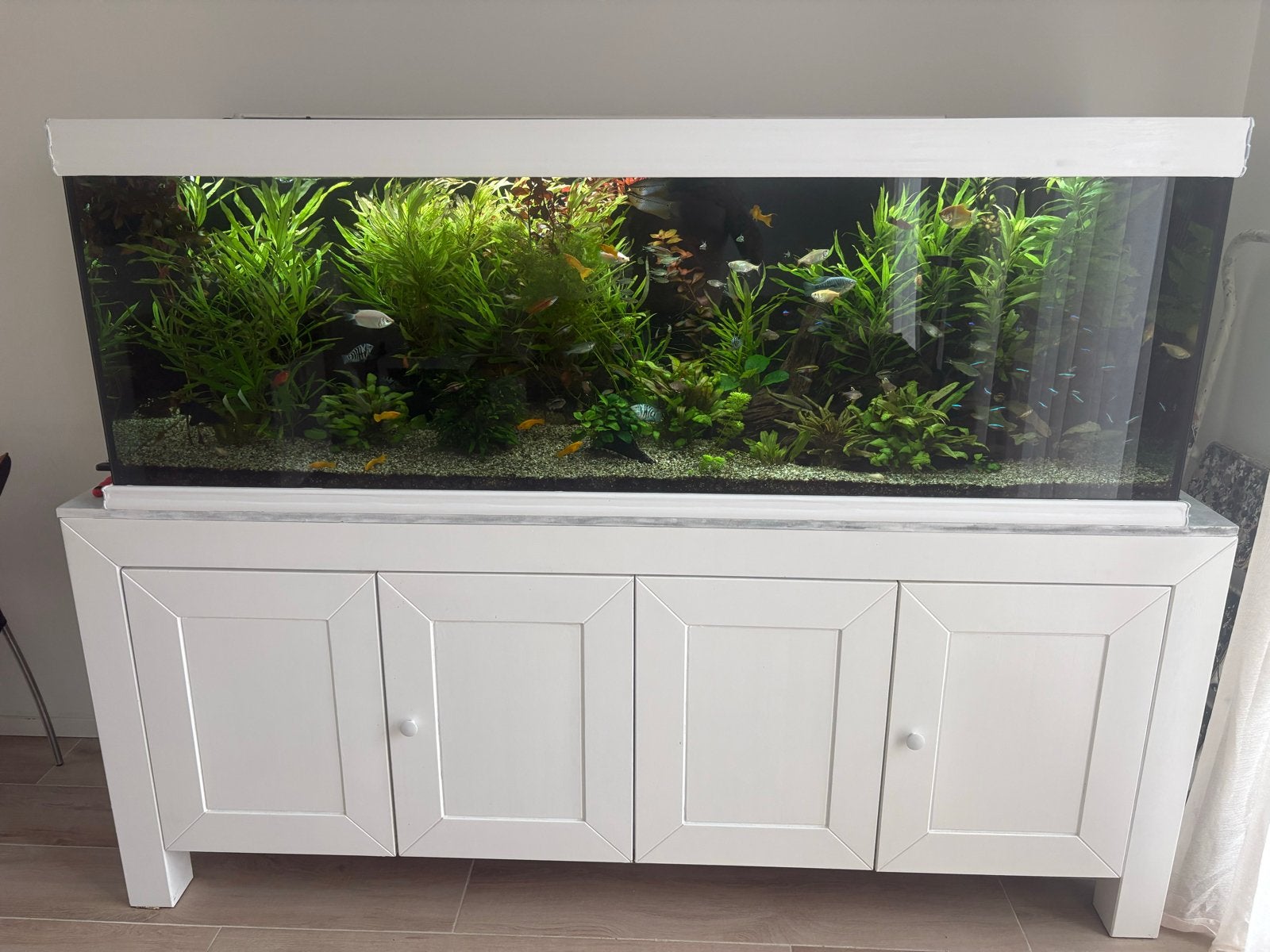 Prachtig groot aquarium. Compleet! Aqualantis, Ophalen, Aquatlantis, Inclusief vissen, Gevuld zoetwateraquarium