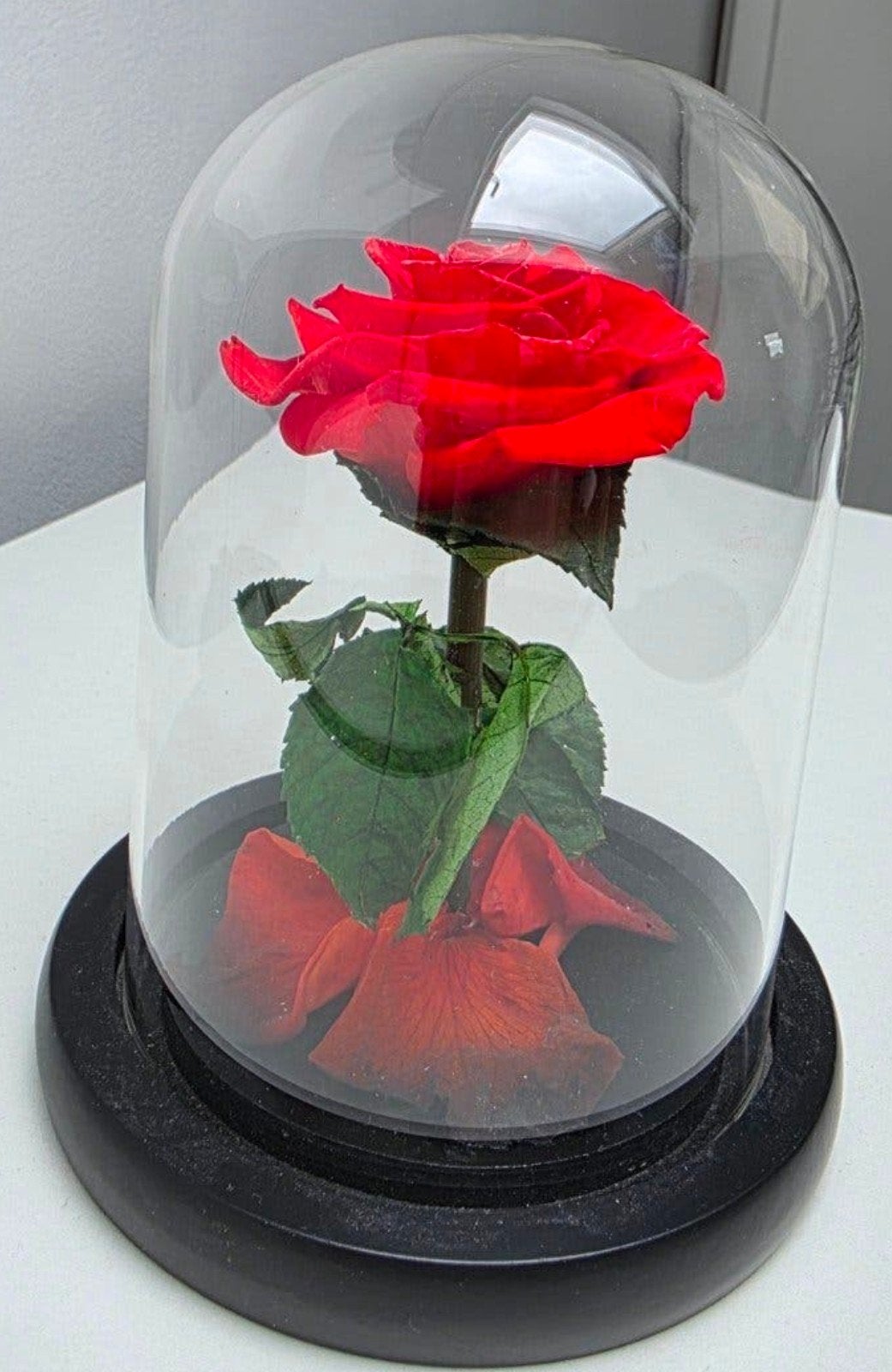 Rode Roos in Glazen Stolp - Eeuwige Liefde Cadeau, Glas, Ophalen of Verzenden, Nieuw, Inclusief decoratie