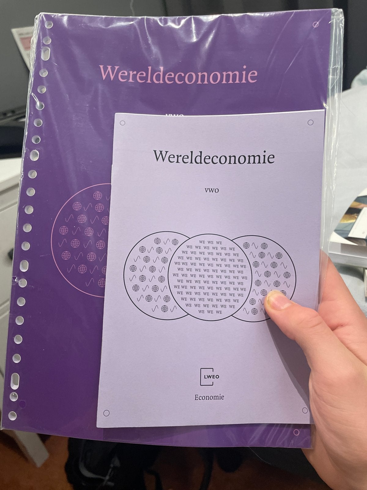 Wereldeconomie VWO - LWEO Economie Boek, Ophalen of Verzenden, Nieuw, Economie en Marketing