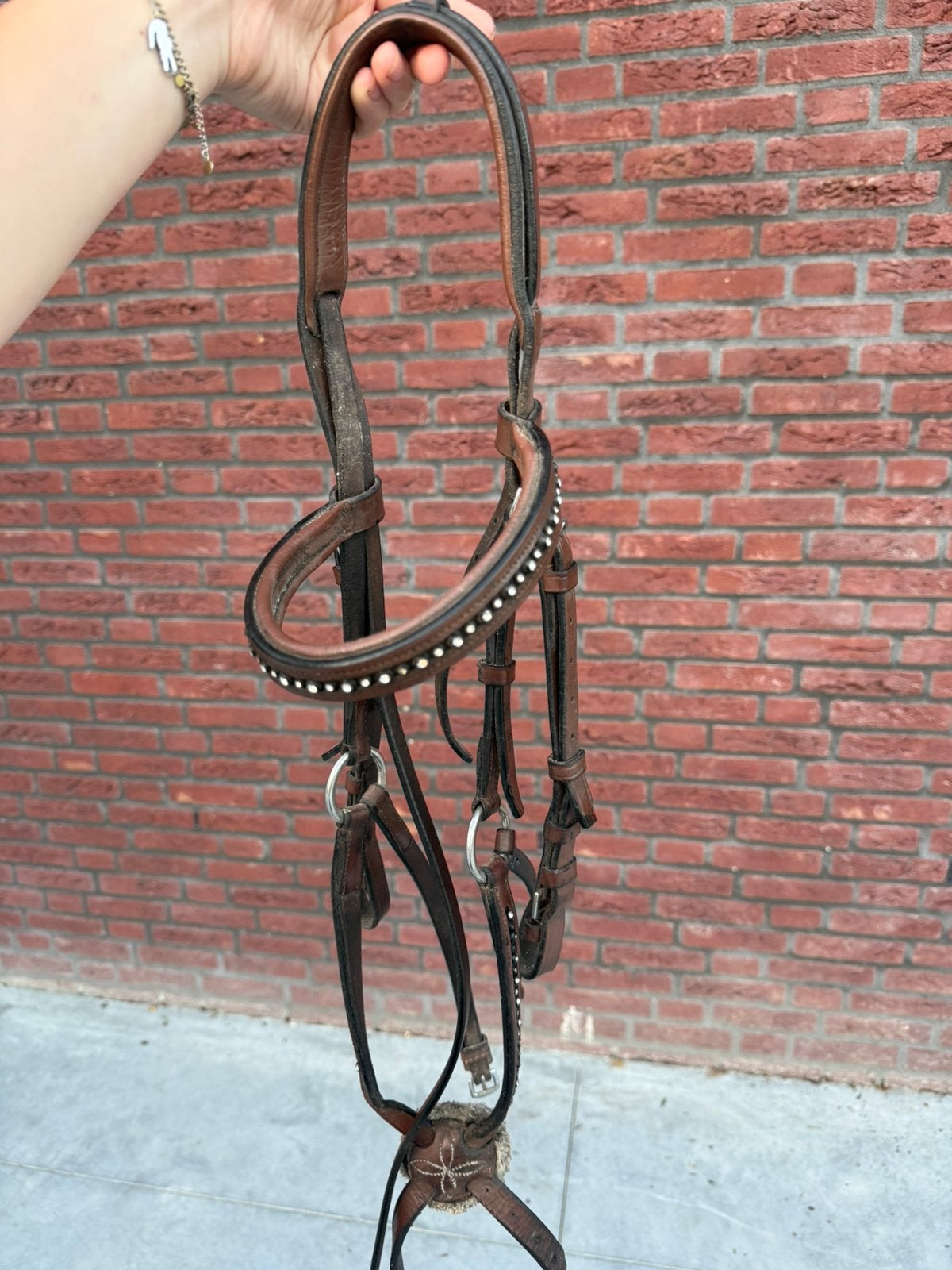 Hoofdstel met borsttuig, Dieren en Toebehoren, Paarden en Pony's | Hoofdstellen en Tuigage, Ophalen, Gebruikt, Springen