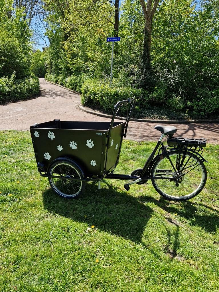 Elektrische honden bakfiets, Ophalen of Verzenden