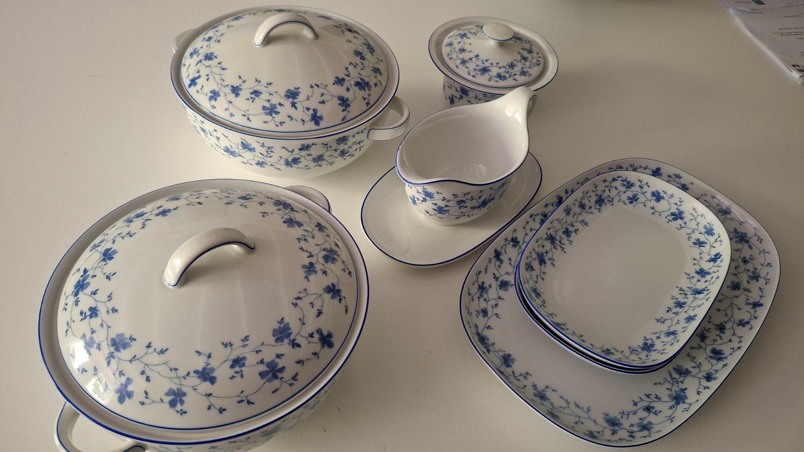 Arzberg Blaubluten in nieuwstaat:, Ophalen
