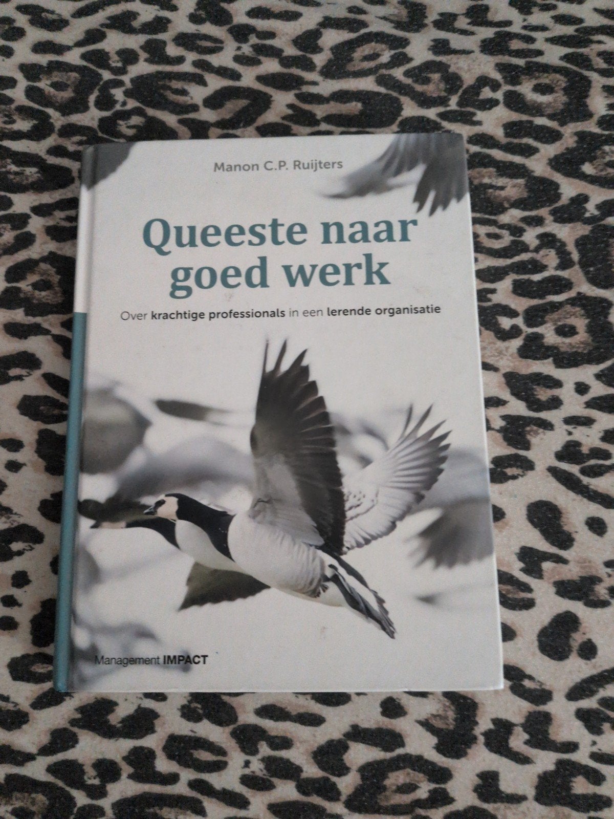 Queeste naar goed werk: lerende organisatie, Boeken, Ophalen of Verzenden