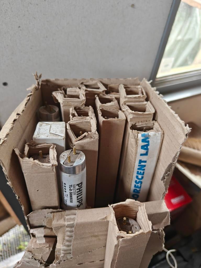 Nieuwe TL buizen 58W 150 cm - Ongebruikt in doos, Ophalen, Nieuw
