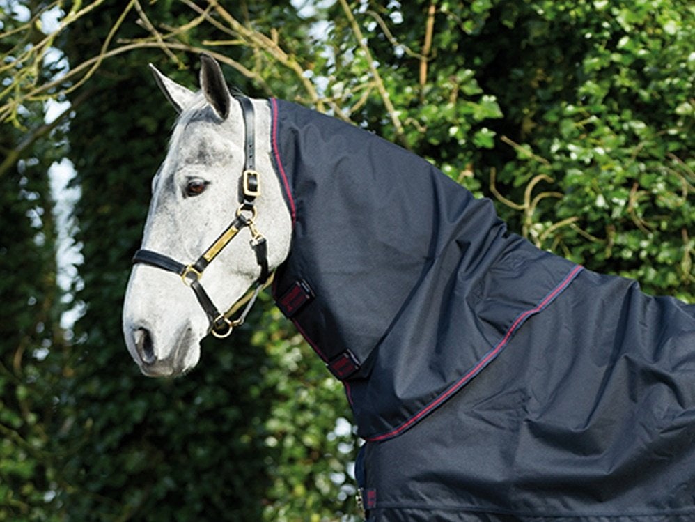 Amigo Bravo 12 Hood XL, 0 gram, Losse hals, maat S, M, L, XL, Halsdeken, Afneembare hals, Nieuw, Ophalen of Verzenden