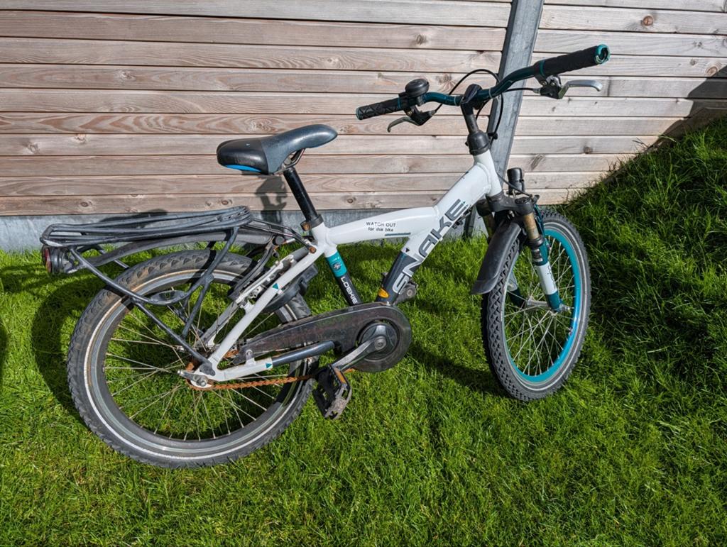 Kinderfiets Snake 20 inch - Gebruikt, Ophalen, Gebruikt, Batavus snake, Terugtraprem