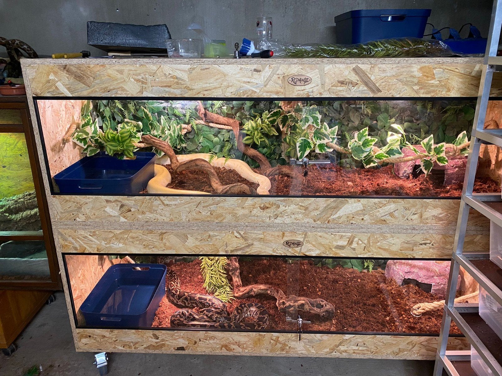 Osb3 terrarium RepHouSZ. Ook maatwerk, Ophalen, Nieuw, Terrarium of Paludarium